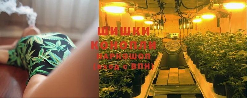 купить   Хасавюрт  Бошки марихуана OG Kush 